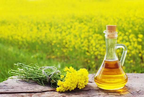 Mustard Oil - AIMS Punjab